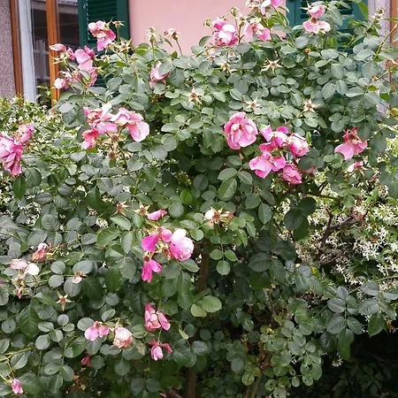 Casa Lilli Incanto * Λα Σπέτσια